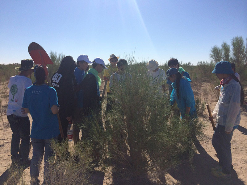 ������Ҫ��һ���ļ��ɺͽ�(j��ng)�(y��n)��ͬ�W(xu��)���_ʼ������һƬ�����ַ��ز����^�m(x��)�����[�ص�����