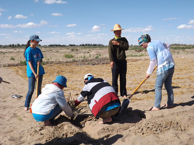 �@�N1.5��Ҋ�������ݸ�������ɳЧ����������^(gu��)4��5���͕�(hu��)�L(f��ng)�g��������Ҫ�����a(b��)����