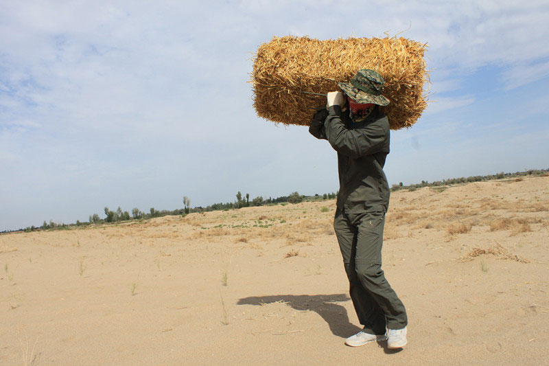 �F�T���i�������������ϳ����������������؟(z��)����