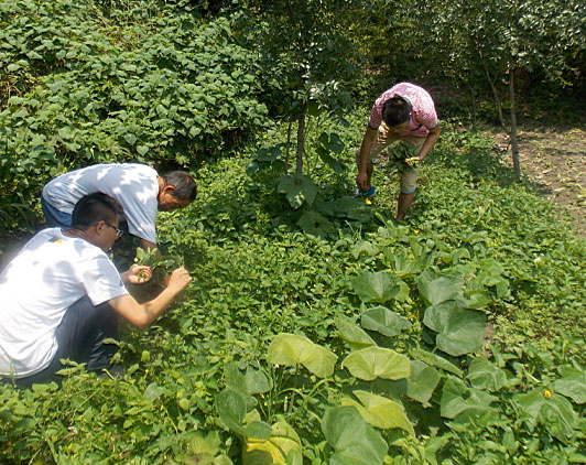 �ڶ��죬꠆T���_ʼ�������B(t��i)�r(n��ng)���w��r(n��ng)��������������ժ����