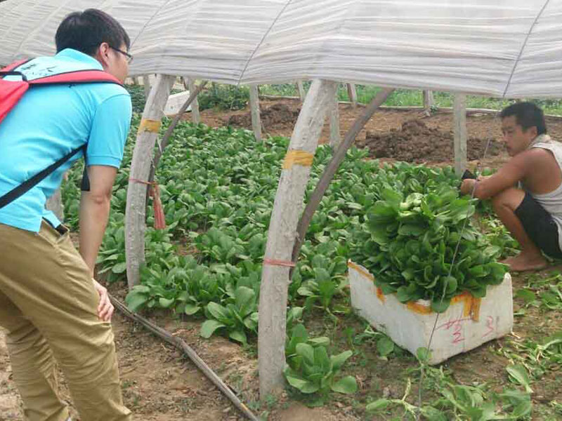 ���`꠆T�c��?sh��)��r(n��ng)��e�O��ͨ������������}���˽��߲˴�������P��r��