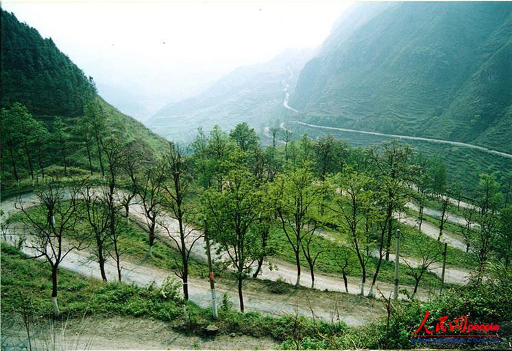 ��¡��24���ա�֮������ꐁ���?j��n)zӰ��