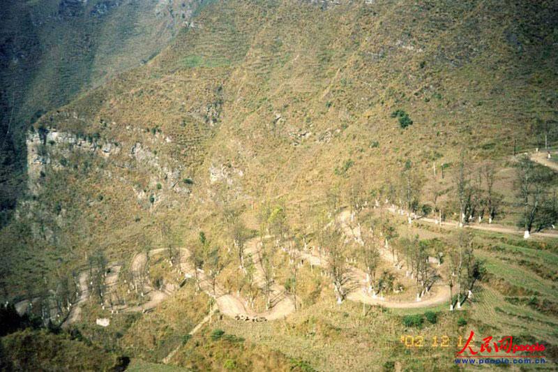 ��¡��24���ա�֮������ꐁ���?j��n)zӰ�� 