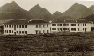 �����o(j��)50������F�ݴ�W(xu��)�̌W(xu��)��