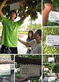 �K���r(n��ng)�W(xu��)Ժ�O(sh��)Ӌ(j��)У�@ֲ����Ƭ�������K�r(n��ng)�Gɫ���}