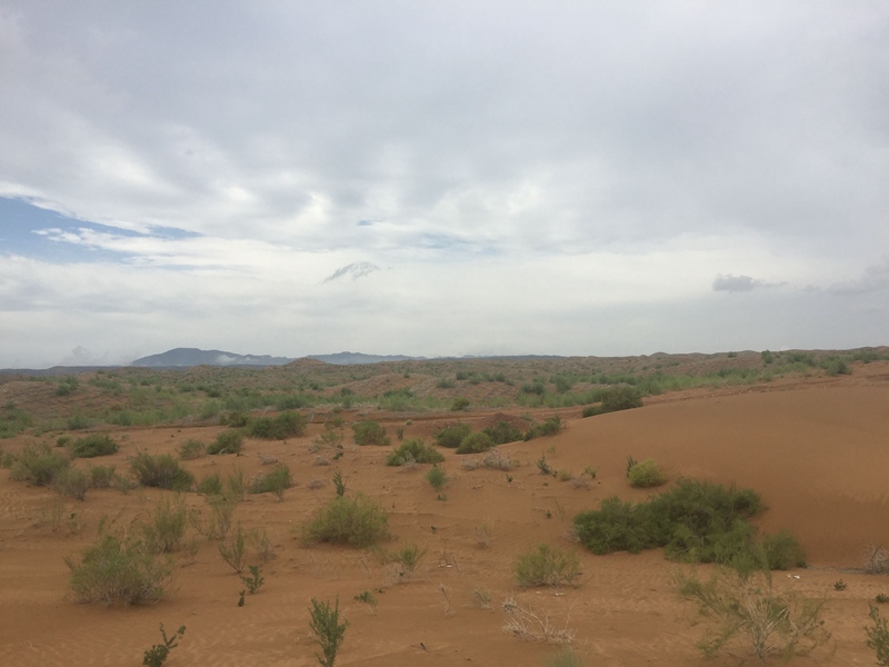 �v����ɳĮ�޾W(w��ng)������ݷ����ﲼ�M�[�d��ɳ��ֲ����