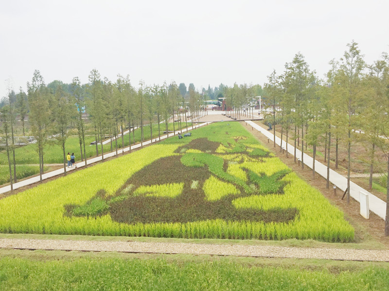 ������L�������������zӰ����־�ۣ�