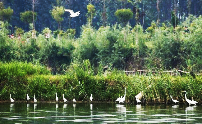 ͯԒ�ϼң���������Ԋ�����Ϙ���f����