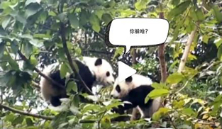 �L�L��̫�ɐ��ˣ�С��ȫ�̡���ĸЦ����