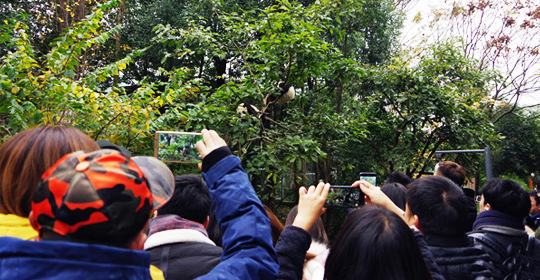 �@�����ӵ������ɶ����W(w��ng)�j���ˁ��cٝ